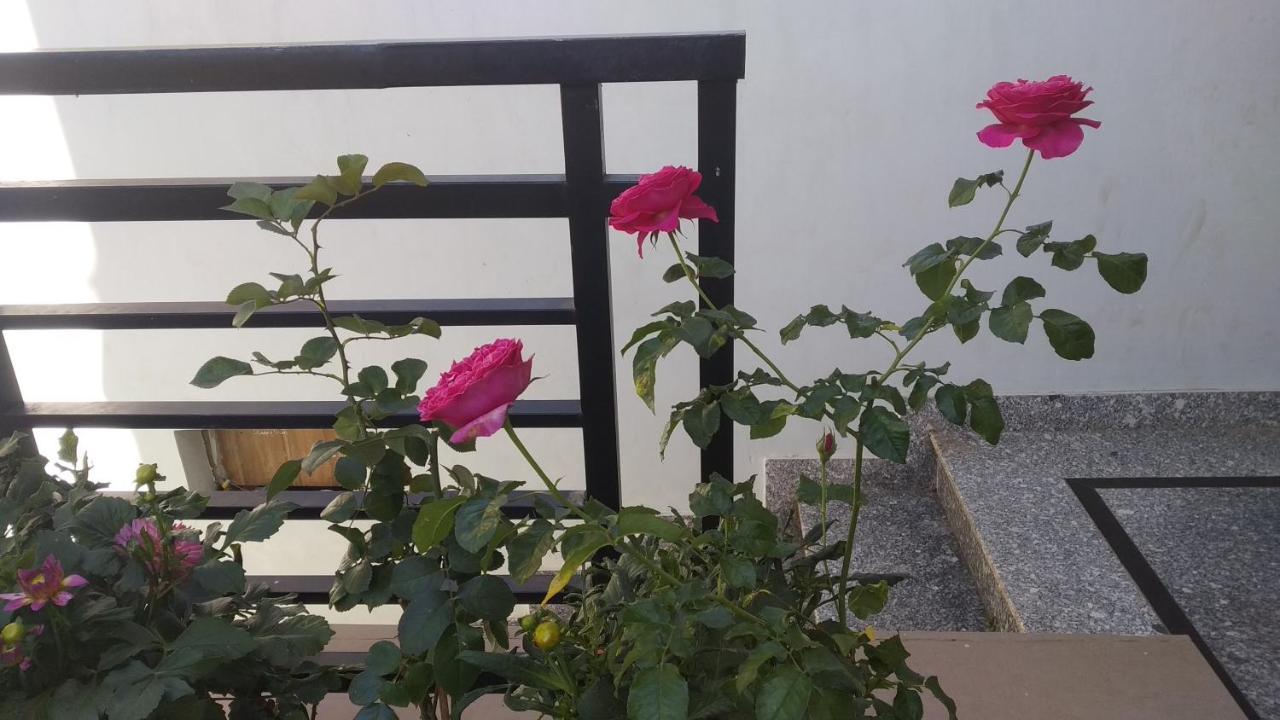 Mai Dalat Homestay Экстерьер фото